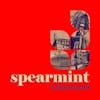 Album artwork for Holland Park by Spearmint
