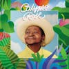 Album artwork for Forever by Calypso Rose