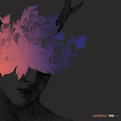 Album artwork for A Hermitage by Jambinai