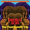 Album artwork for Brown Acid: The Fourteenth Trip by Various