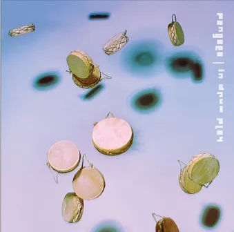 Album artwork for In Drum Play by Pangea
