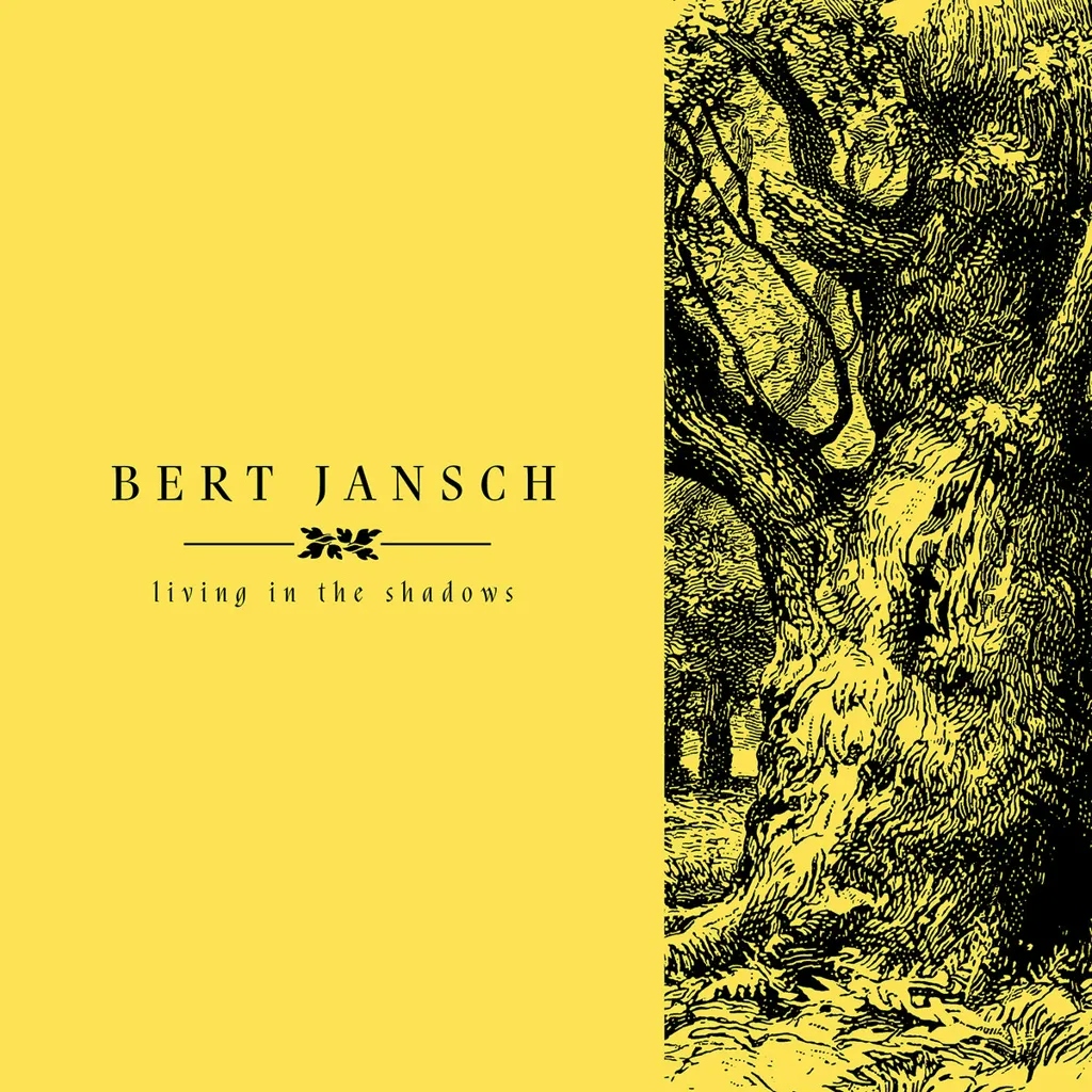 Album artwork for Living In The Shadows by Bert Jansch