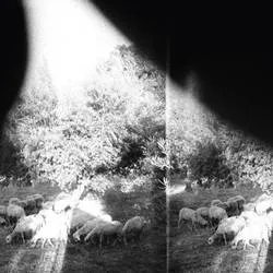 Album artwork for Asunder, Sweet And Other Distress by Godspeed You! Black Emperor