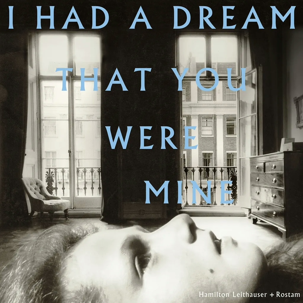 Album artwork for I Had a Dream You Were Mine by Hamilton and Rostam