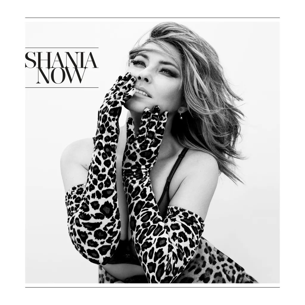 Album artwork for Now by Shania Twain