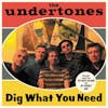 Album artwork for Dig What You Need by The Undertones