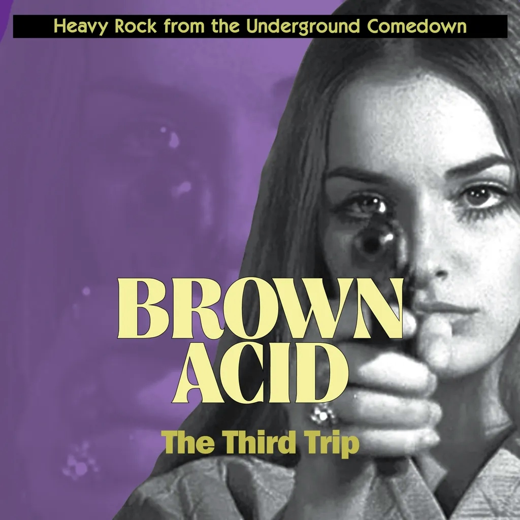 Album artwork for Brown Acid - The Third Trip by Various