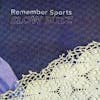 Album artwork for Slow Buzz by Remember Sports