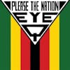 Album artwork for Please The Nation by Eye Q