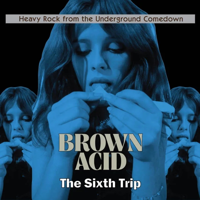 Album artwork for Brown Acid - The Sixth Trip by Various