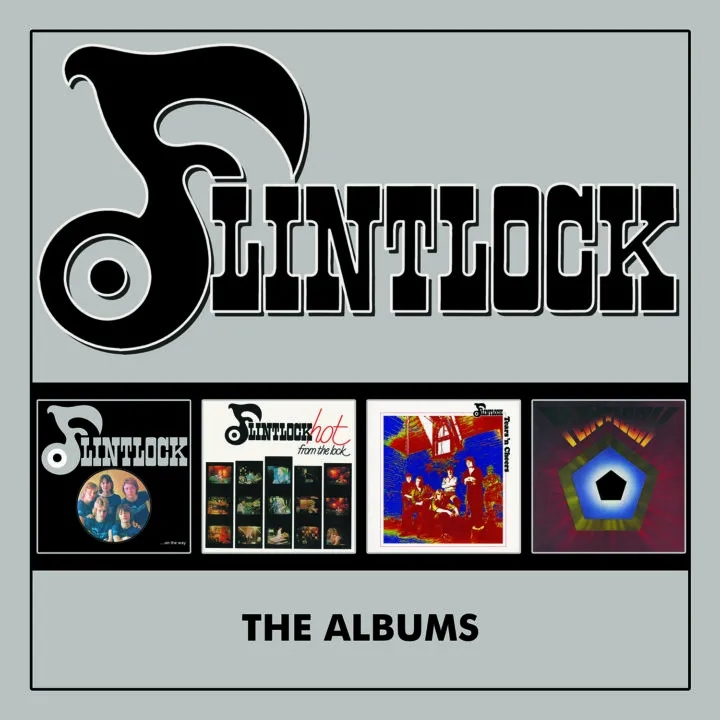 Album artwork for The Albums by Flintlock