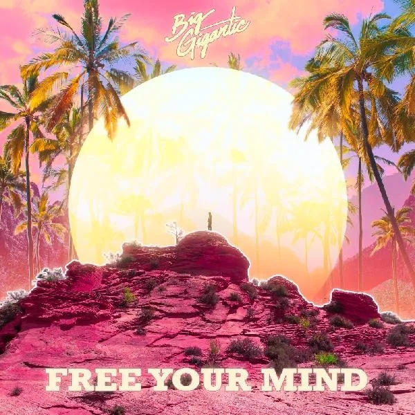 Album artwork for Free Your Mind by Big Gigantic