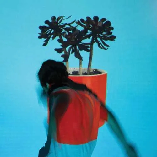 Album artwork for Sunlit Youth by Local Natives