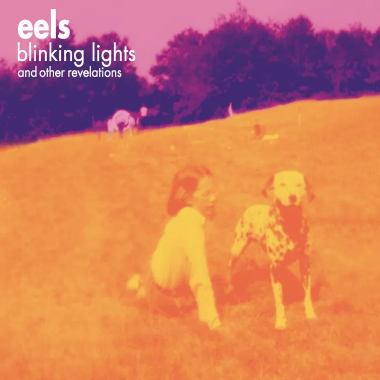 Album artwork for Eels Blinking Lights and Other Revelations by Eels