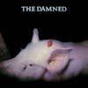 Album artwork for Strawberries - 40th Anniversary by The Damned