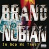 Album artwork for In God We Trust - 30th Anniversary by Brand Nubian