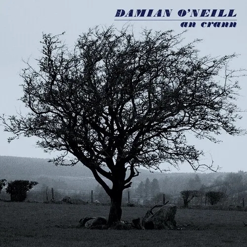 Album artwork for An Crann by Damian O'Neill