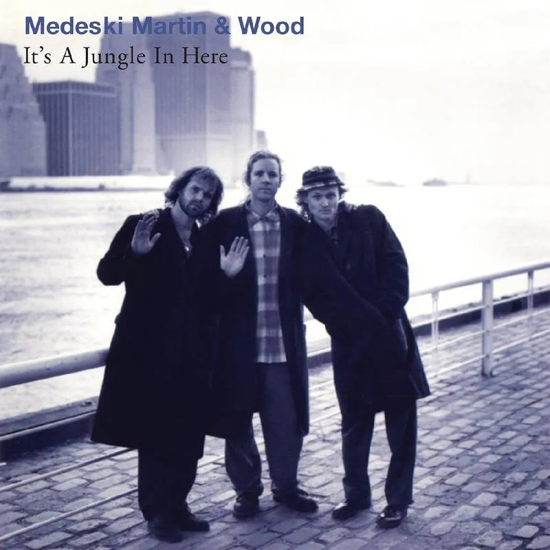 Album artwork for It's a Jungle in Here (30th Anniversary) by Martin Medeski and Wood