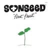 Album artwork for First Fruit by Sonseed