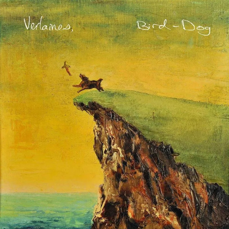 Album artwork for Bird Dog by The Verlaines