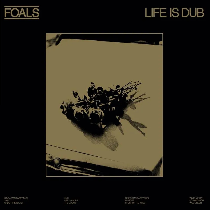 Album artwork for Life is Dub by Foals