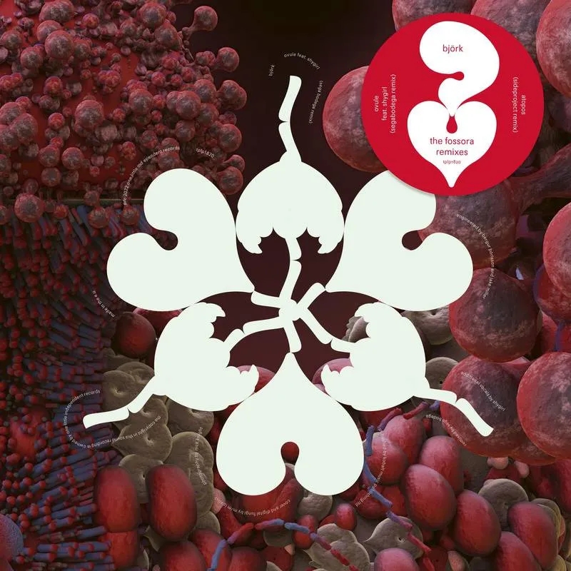 Album artwork for The Fossora Remixes by Björk