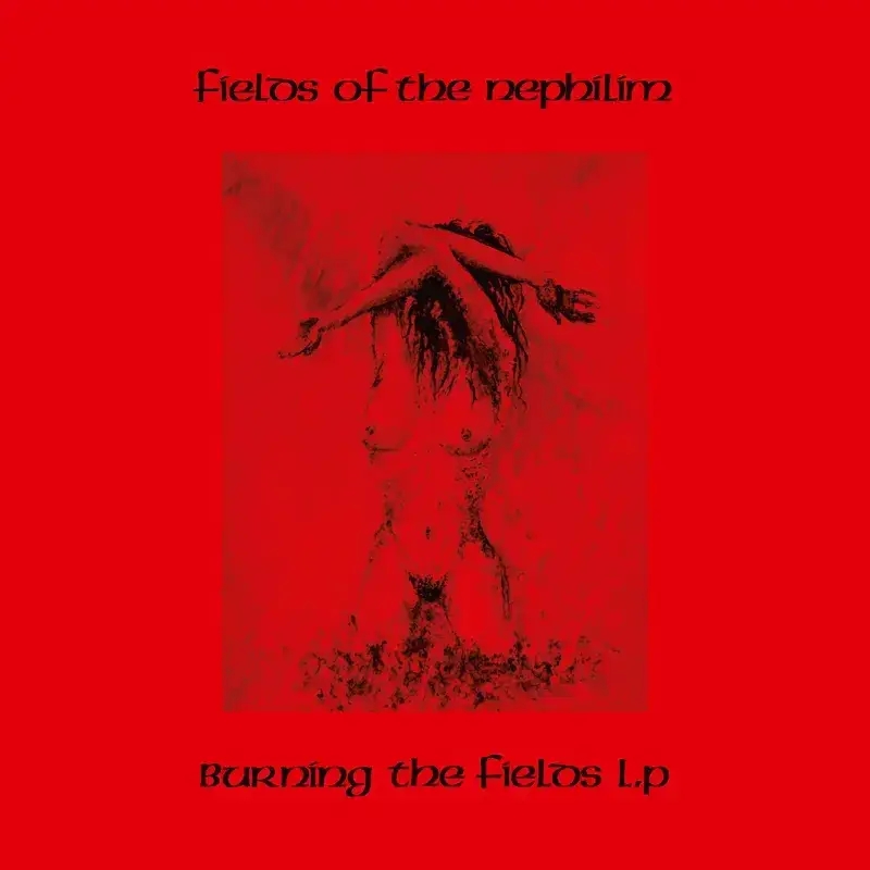 Album artwork for Burning The Fields - RSD 2024 by Fields Of The Nephilim