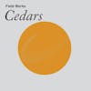 Album artwork for Cedars by Field Works