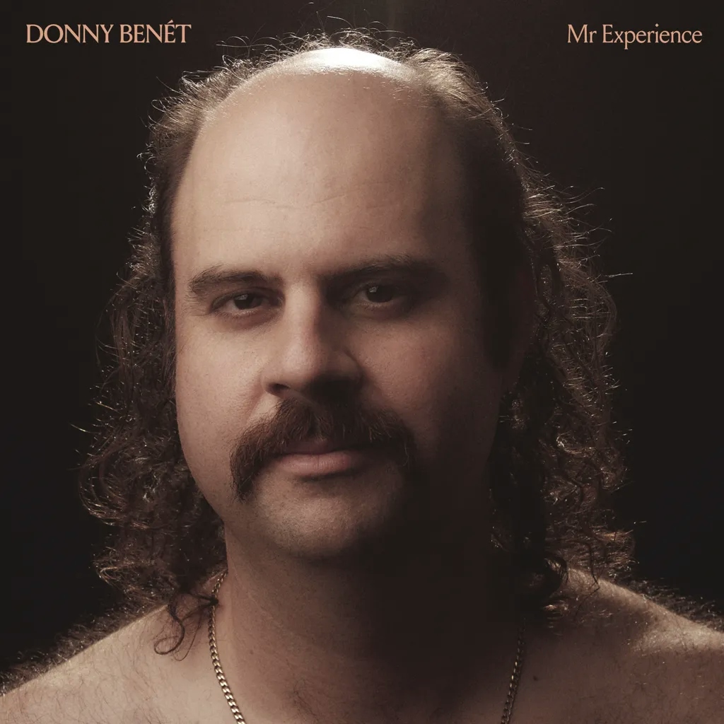 Album artwork for Mr Experience by Donny Benet