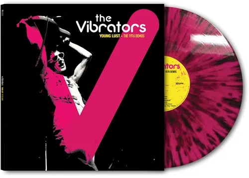 Album artwork for Demos 1976 by The Vibrators