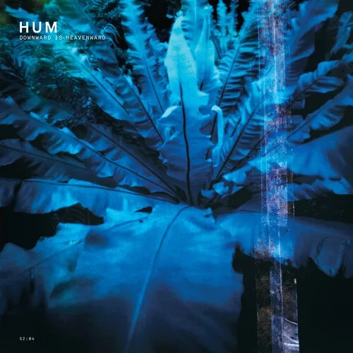 Album artwork for Downward is Heavenward by Hum