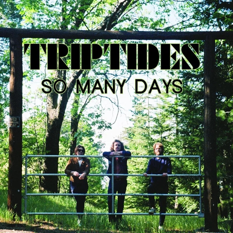Album artwork for So Many Days by Triptides