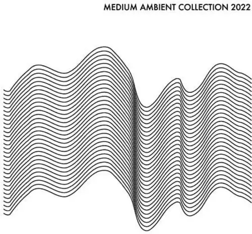Album artwork for Medium Ambient Collection 2022 by Various Artists