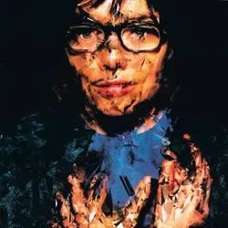 Album artwork for Selma Songs by Björk