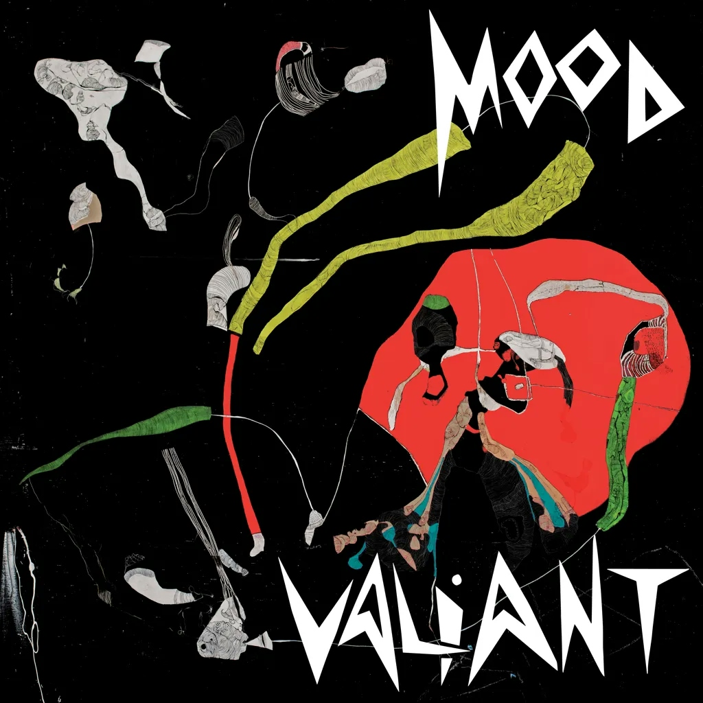 Album artwork for Album artwork for Mood Valiant by Hiatus Kaiyote by Mood Valiant - Hiatus Kaiyote