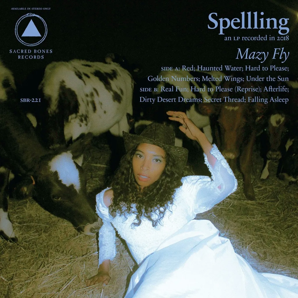 Album artwork for Mazy Fly by Spellling