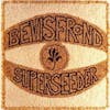 Album artwork for Superseeder by The Bevis Frond