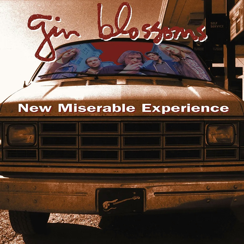 Album artwork for New Miserable Experience by The Gin Blossoms