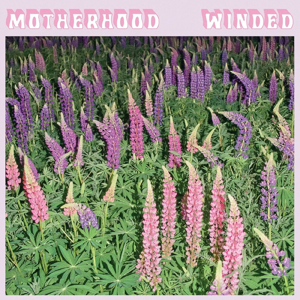 Album artwork for Winded by Motherhood