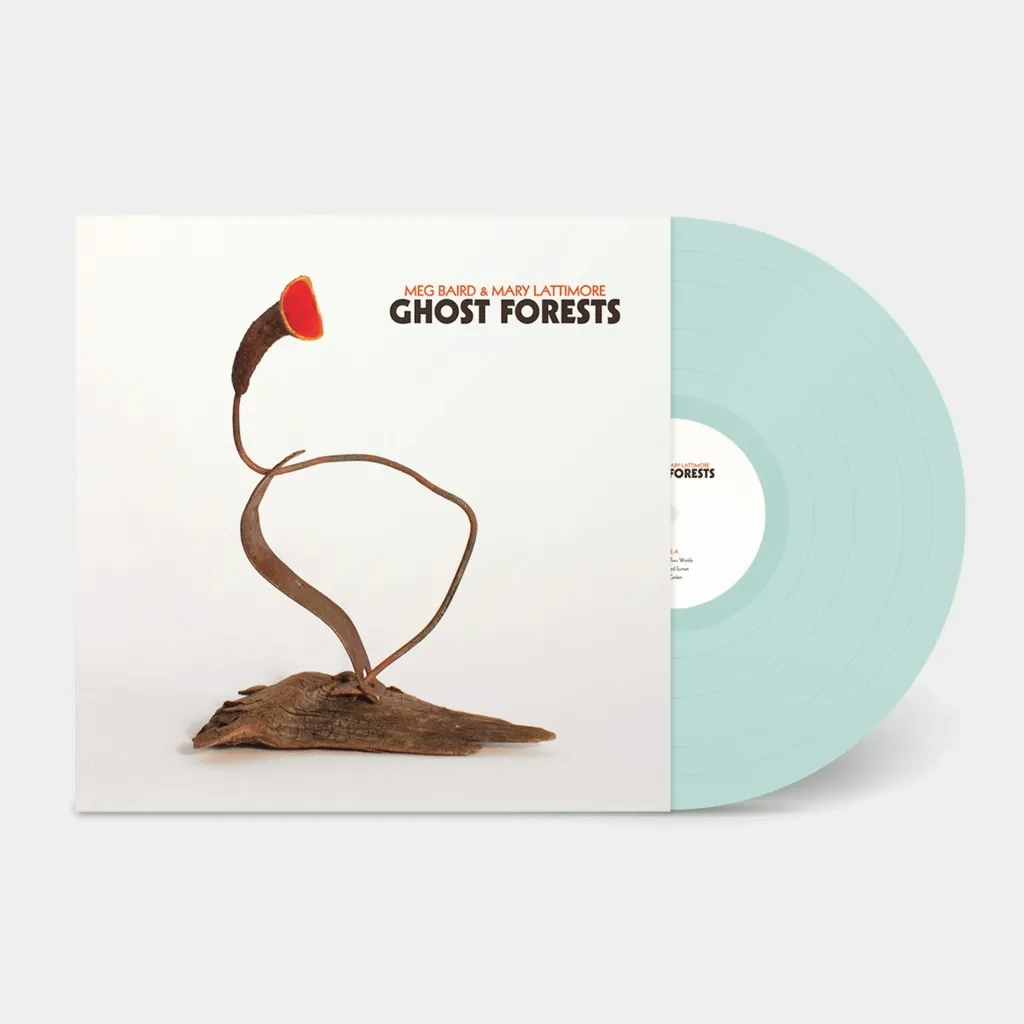 Album artwork for Ghost Forests by Meg Baird and Mary Lattimore
