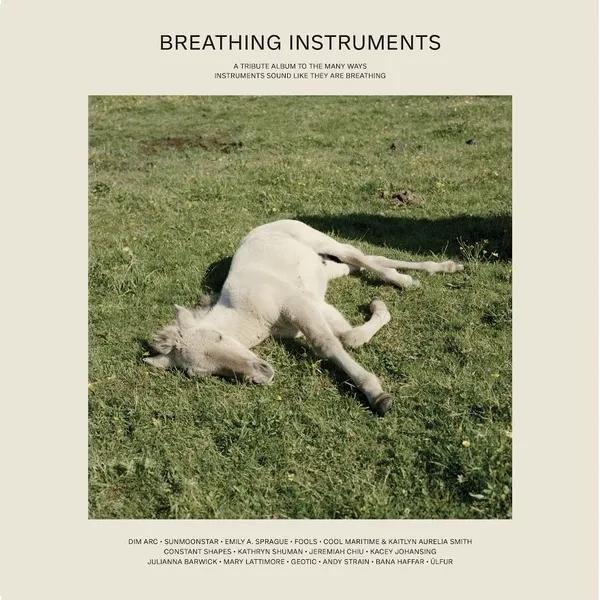 Album artwork for Breathing Instruments by Various Artists