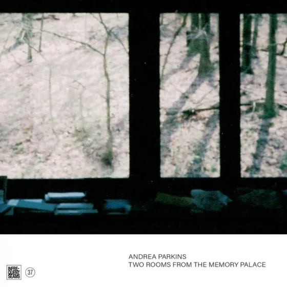 Album artwork for Two Rooms From The Memory Palace by Andrea Parkins