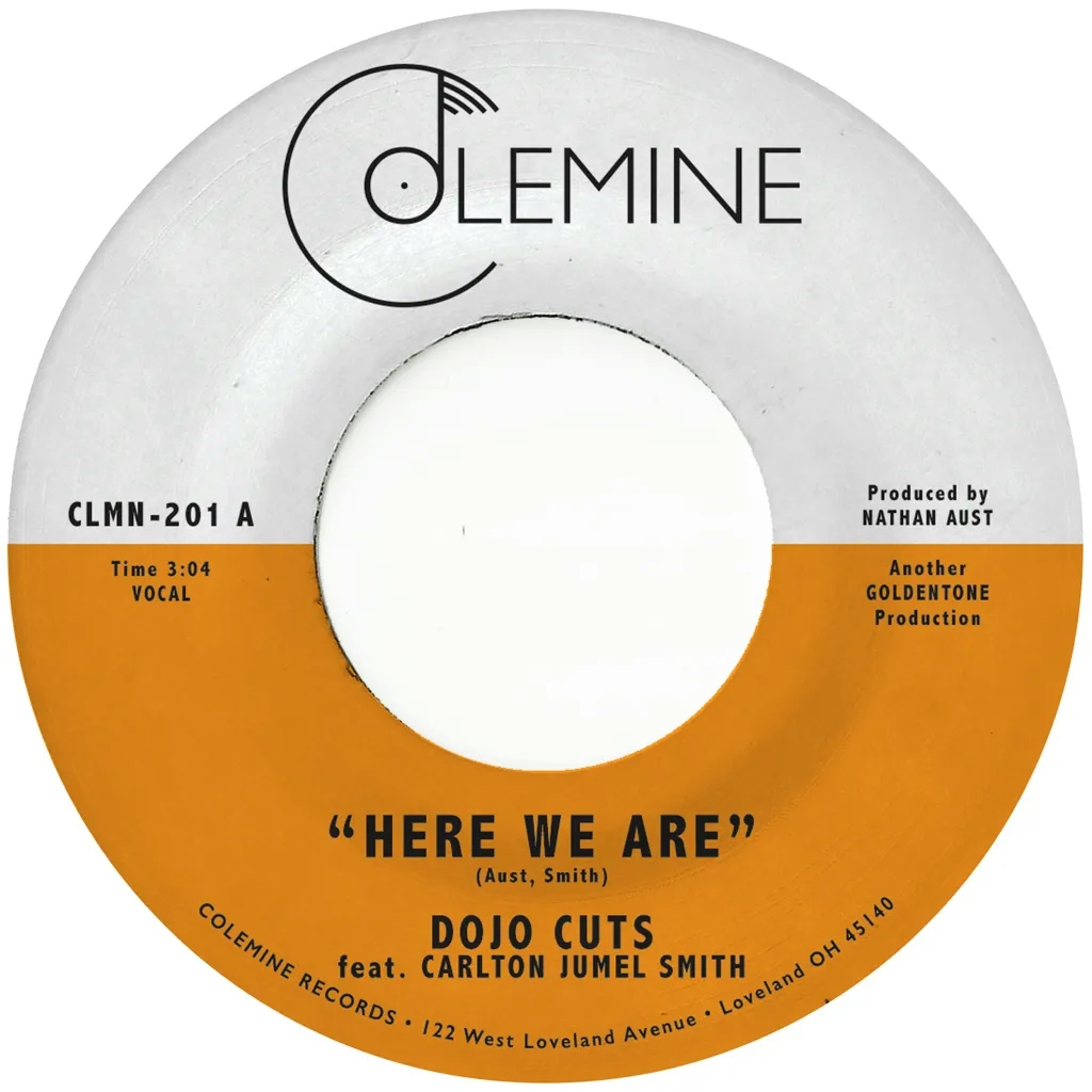 Album artwork for Here We Are by Dojo Cuts 