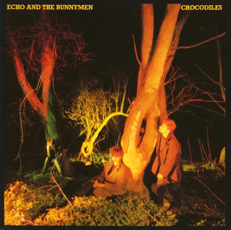 Album artwork for Crocodiles (Rocktober Exclusive) by Echo and The Bunnymen