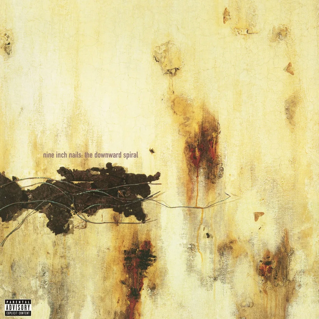 Album artwork for The Downward Spiral by Nine Inch Nails