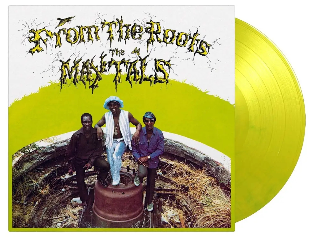 Album artwork for From the Roots by The Maytals