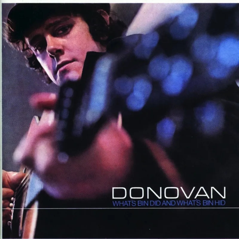 Album artwork for What's Bin Did and What's Bin Hid (Music On Vinyl Edition) by Donovan