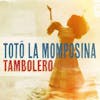 Album artwork for Tambolero by Toto La Momposina Y Sus Tambores