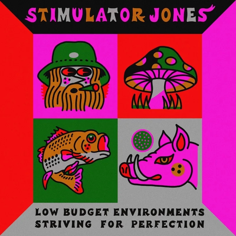 Album artwork for Low Budget Environments Striving For Perfection by Stimulator Jones