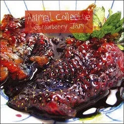 Album artwork for Strawberry Jam by Animal Collective